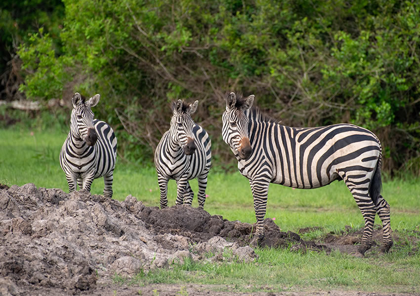 Lake Mburo National Park