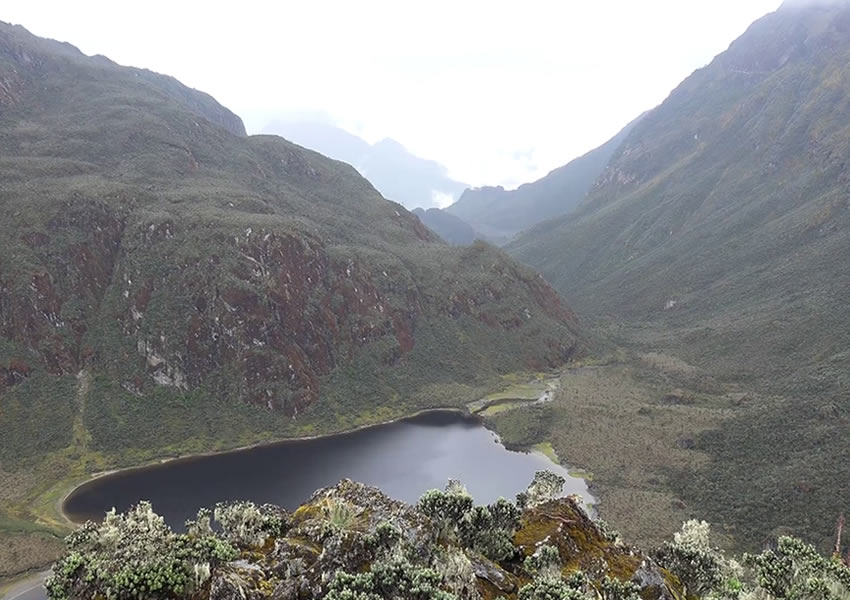 Rwenzori Mountains National Park