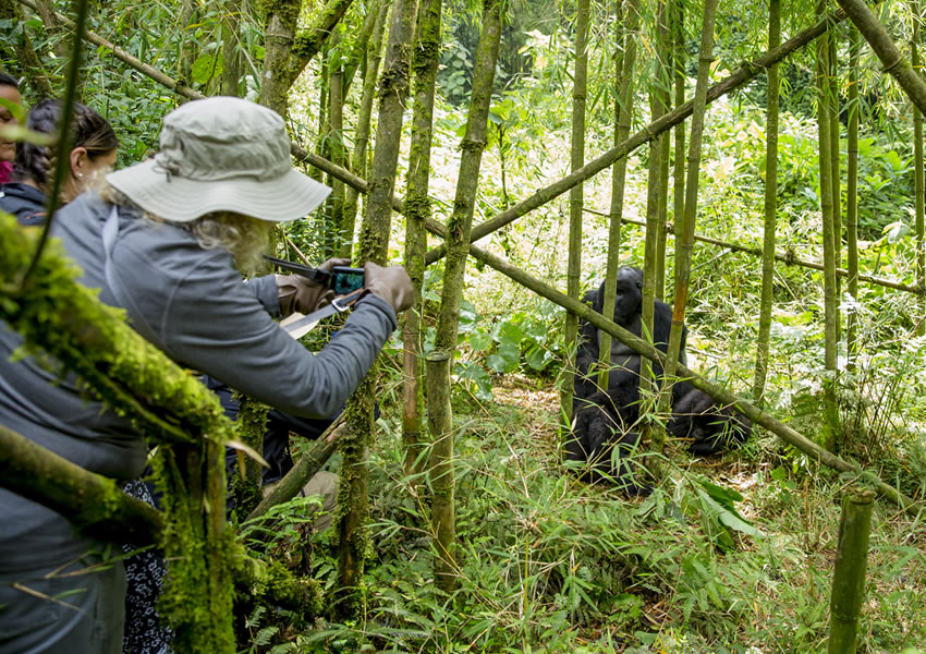 7 Days Wildlife Safari in Rwanda